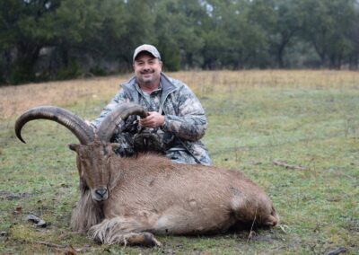 Texas Aoudad Hunt