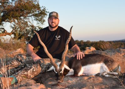 Texas Blackbuck Harvest