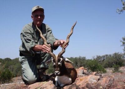 Blackbuck Antelope Harvest TX