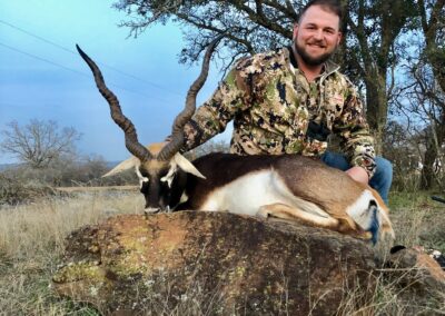 Blackbuck Harvest