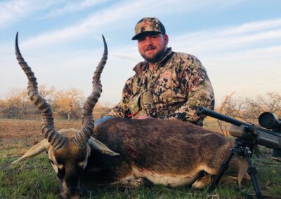 Blackbuck Harvest TX