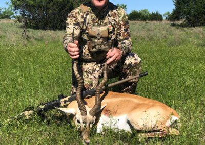 Blackbuck Hunt TX