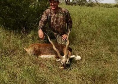 Blackbuck Hunt TX