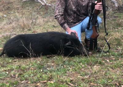 Hog Hunt