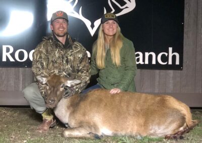 Red Stag Doe Harvest