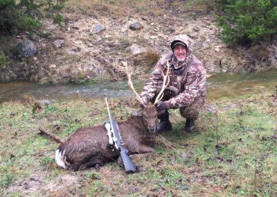 Red Stag Harvest