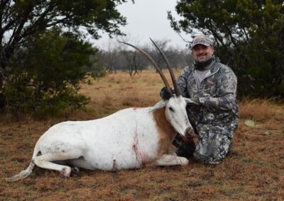 Scimitar Horned Oryx Hunt