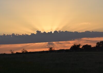 Sunset Cloud