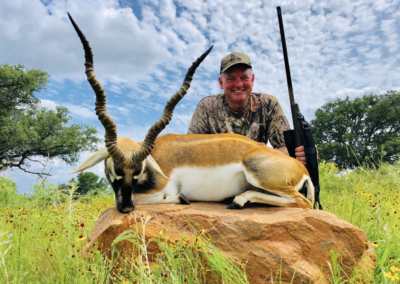 Texas Blackbuck Harvest