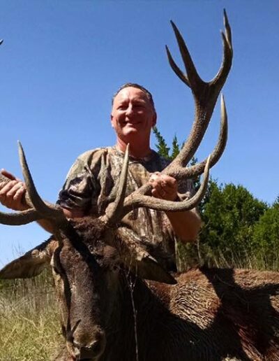 Trophy Red Stag Harvest
