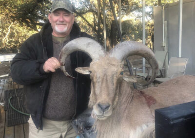 Aoudad Hunt