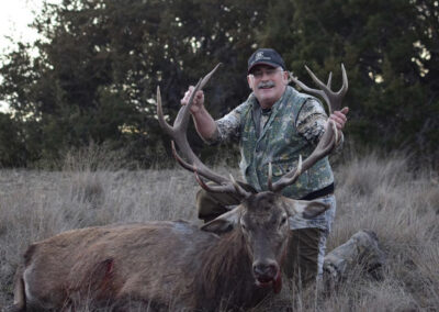 Texas Red Stag Hunt