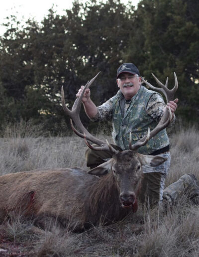 Texas Red Stag Hunt