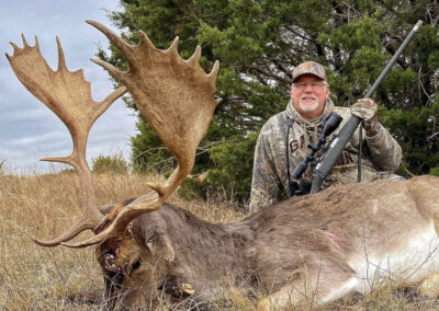 Central Texas Fallow Deer Hunt