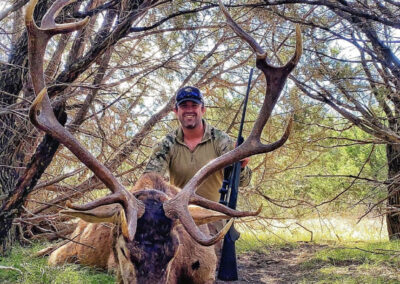 Central Texas Red Stag Hunt