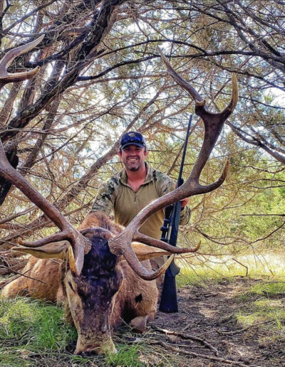 Central Texas Red Stag Hunt
