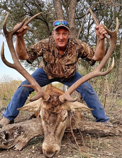 Red Stag Hunt in Texas