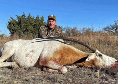 Scimitar Horned Oryx Hunt