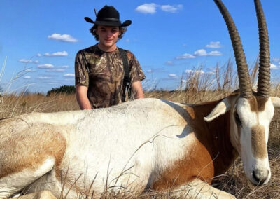 Texas Scimitar Horned Oryx Hunt