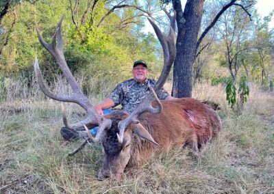 Texas Red Stag Hunt