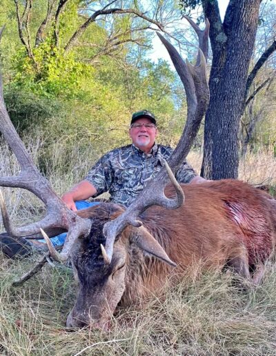 Texas Red Stag Hunt