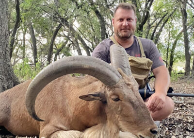 Texas Aoudad Hunts