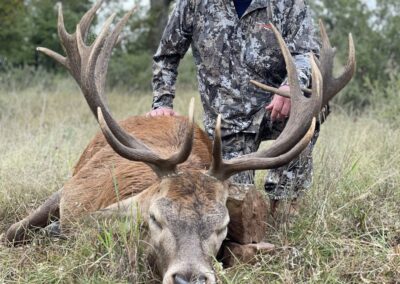 Texas Red Stag Hunt