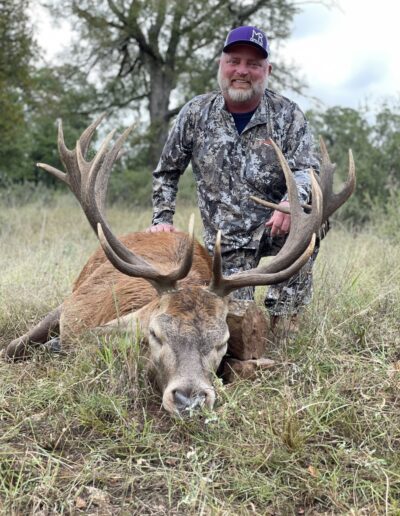 Texas Red Stag Hunt