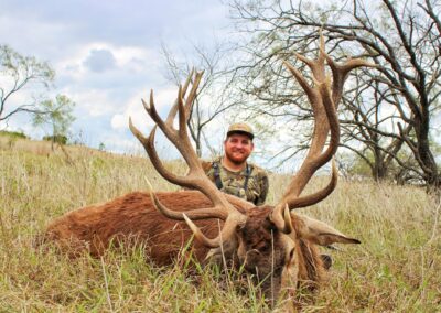 Texas Red Stag Hunt