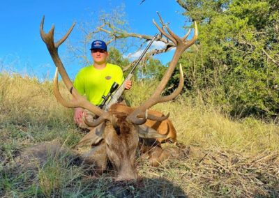 Central Texas Red Stag Hunt