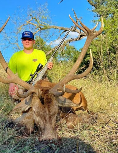 Central Texas Red Stag Hunt