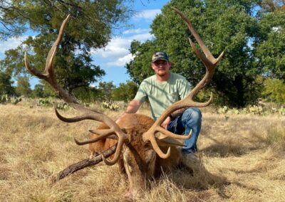 Texas Red Stag Hunt