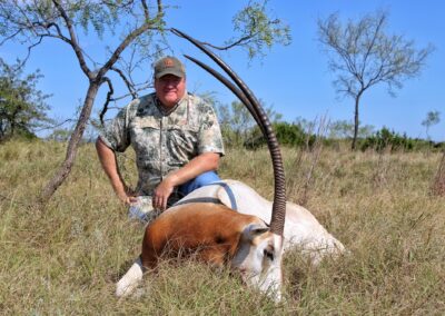 Texas Scimitar Horned Oryx Hunt