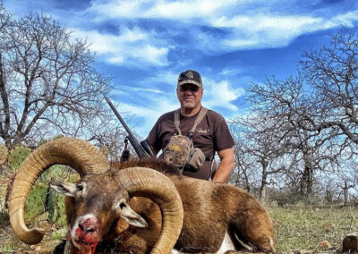 Texas Red Sheep Hunts