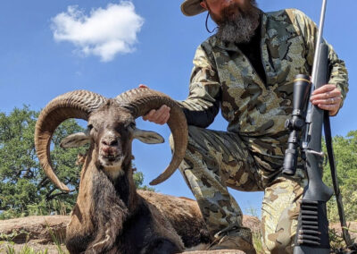 Central Texas Red Sheep Hunts