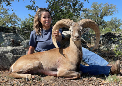 Central Texas Red Sheep Hunts