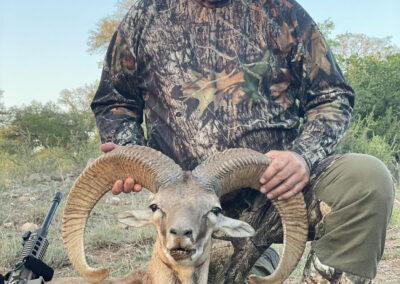 Central Texas Red Sheep Hunts