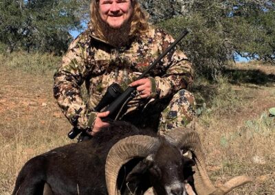 Texas Sheep Hunt