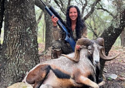 Texas Sheep Hunts