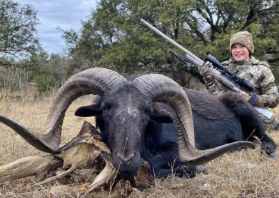 Texas Sheep Hunts