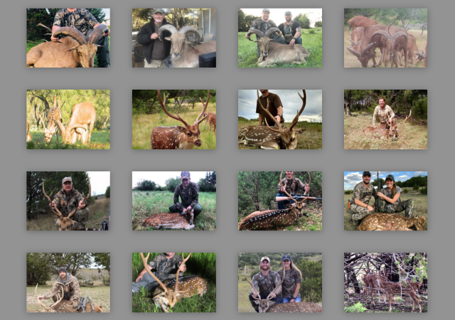 Exotic Hunting Pictures Exotic Hunting Pictures
